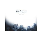 Beluga sala Cool