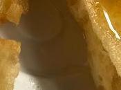 Entre cafés... Orquídea Funko entre otros