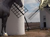 latín: “primum vivere; deinde philosophari”. cristiano: “vivir primero; filosofar después”