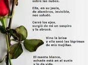 4.993 campos nevados...