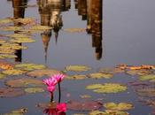 Invitación Zazenkai marzo 2022: Hokyozanmai