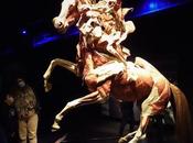 Body Worlds: Ritmo Vida cuerpo humano como nunca habías visto