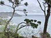 roig