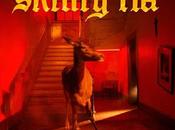 Fontaines D.C. Skinty (2022)