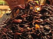 Tarántulas fritas Camboya