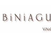 Gran Verán 2009 Bodega Biniagual Binissalem