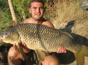 Pellets siluros carpas