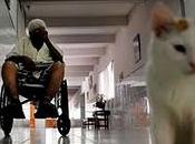 Hijos falsifican actas médicas para quitar bienes padres ancianos