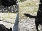 perdido zona raiquero Bonanza ORIHUELA.