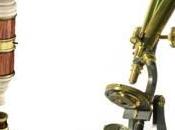 Tipos Microscopios ópticos