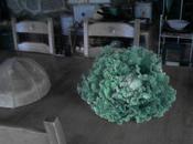 ¿confunsión mental humanidad? simplemente mundo creado vanalidades