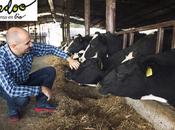importancia buena alimentación ganado vacuno lechero, según Bifeedoo
