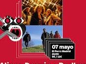 Alison Darwin Rodher perro parte atrás coche