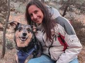causas recomendaciones para afrontar comportamiento reactivo perros, mano Ulises Argos