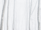 Mysterious Witch,de Christian Blair