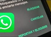 Porque Llegan Mensajes Whatsapp Contacto