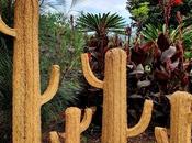 cactus flores decoración futuro