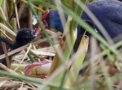 Fallados premios Concurso fotográfico Laguna Fuente