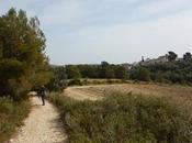 Ruta circular entre Argilaga Renau Camp Tarragona