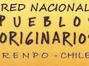 Chile. Grave acusación pueblos originarios