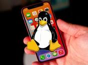 Logran ejecutar Linux iPhone editar LibreOffice