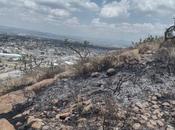 Bomberos controlan incendio Sierra Miguelito