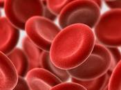 Datos Interesantes sobre sangre deberías conocer