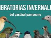 Migratorias invernales pastizal pampeano (Video)