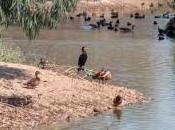 Reserva Natural Cañada Pájaros