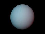 Sugieren impactos causaron inclinación rotación Urano
