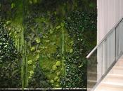 Jardines estabilizados