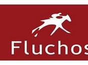 Calzado: Fluchos