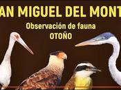 Miguel Monte Observación fauna otoño
