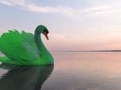 cisnes negros vemos todos días pero, verdes?