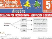 Factorización Factor Común Agrupación Identidades para Quinto Secundaria