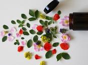 Urbagesa: todo necesario antes comprar vender farmacia