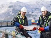 España pódium mayores consumidores pescado mundo