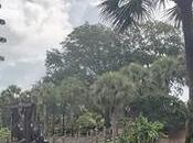 hacer Orlando allá Disney