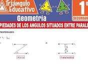 Propiedades Ángulos Situados entre Paralelas para Primero Secundaria