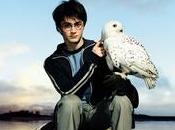«Harry Potter filosofía: Hogwarts para muggles. Edición aniversario», Gregory Bassham William Irwin