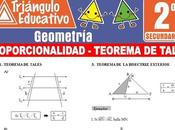 Proporcionalidad Teorema Tales para Segundo Secundaria