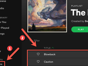 Cómo fusionar listas reproducción Spotify