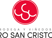 Bodega Viñedos Cerro Cristobal