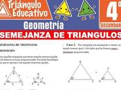 Ejercicios Semejanza Triángulos para Cuarto Secundaria