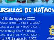 piscinas plantío organiza cursillos natación durante agosto