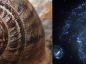 vida proceso transcurre menos