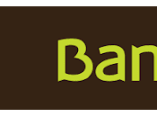 Declaran nulidad cláusula suelo Bankia, condenando entidad bancaria pago 4.976,37 euros