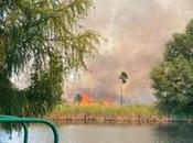 Incendio Media Luna mantendrá cerrado paraje hasta nuevo aviso