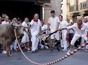 Maltrato animal, España, casi 17.000 fiestas año.