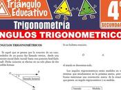 Ángulos Trigonométricos para Cuarto Secundaria